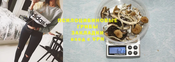 стаф Строитель