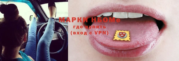 хмурый Струнино