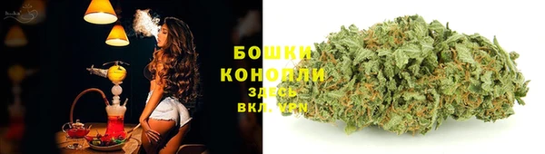 хмурый Струнино