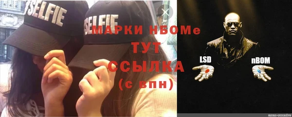 хмурый Струнино