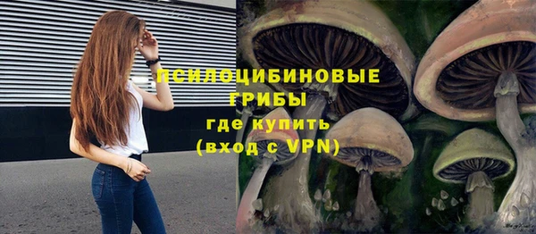 стаф Строитель