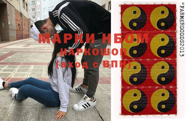 хмурый Струнино