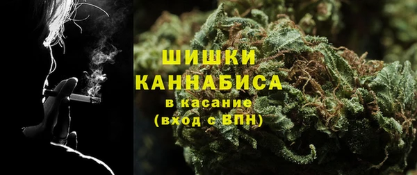 стаф Строитель