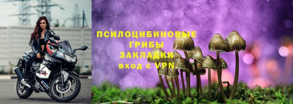 стаф Строитель